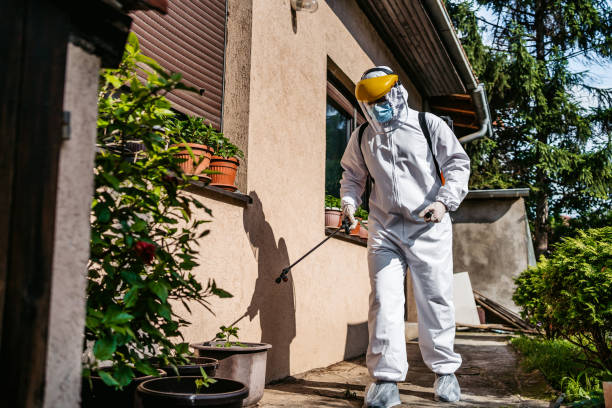 Best Residential Pest Control  in Taft, CA