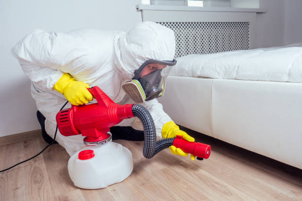 Best Best Pest Control Companies  in Taft, CA