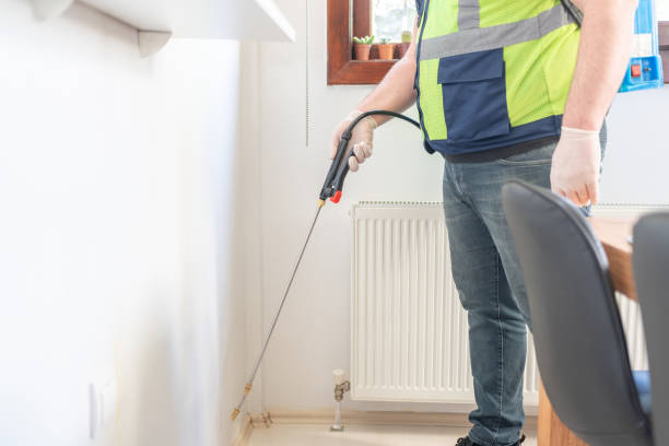 Professional Pest Control in Taft, CA
