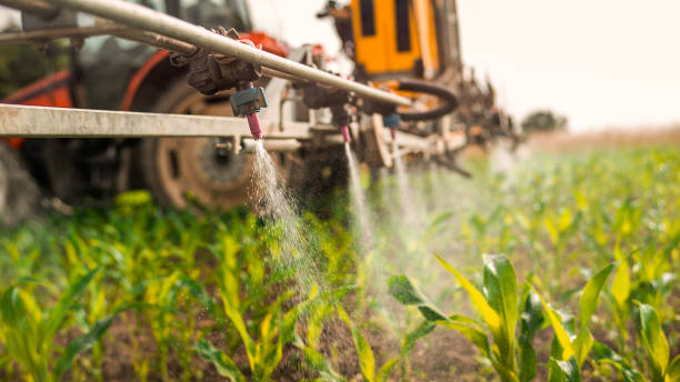Best Pest Control Cost  in Taft, CA