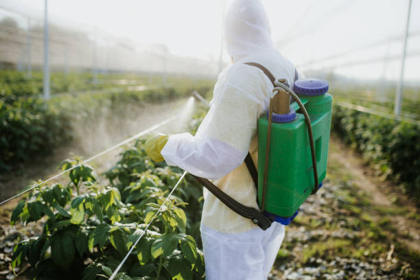 Best Emergency Pest Control  in Taft, CA